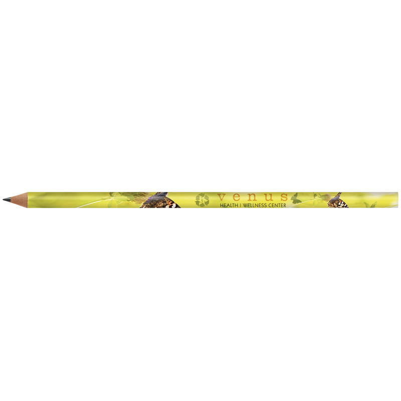 Image of BIC Evolution Classic Cut End Digital Ecolutions Pencil